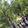Plezanje na drevo